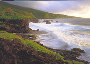The coast at Kipahulo (Hawaii)
