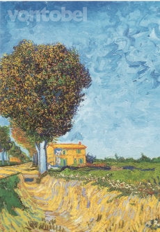 Een weg bij Arles
