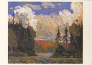 Black spruce in autumn