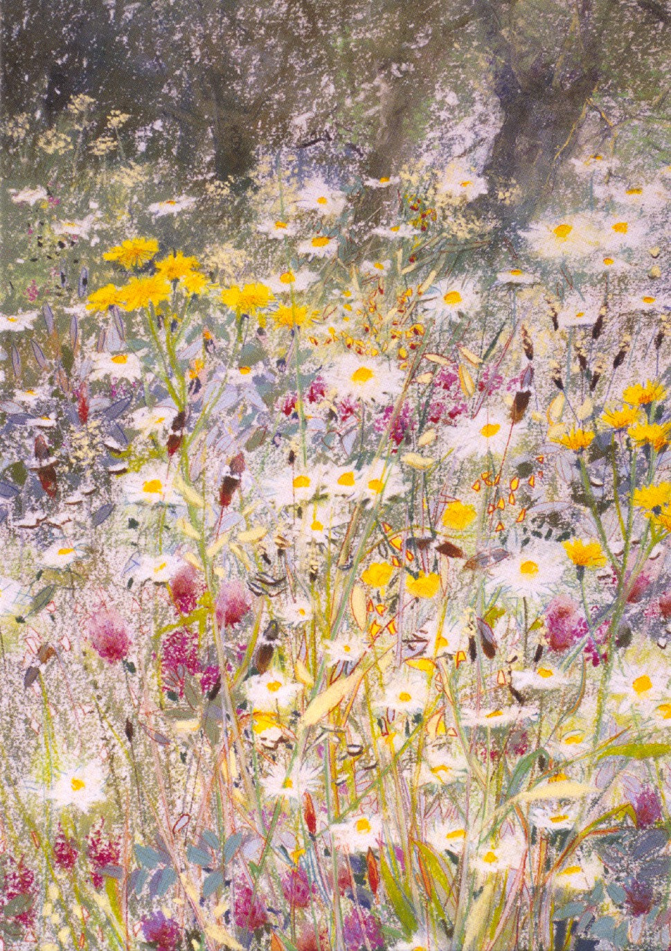 Veldbloemen op de dijk