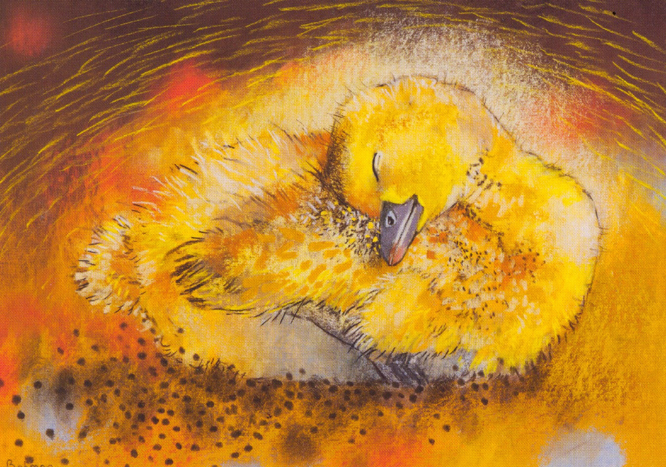 Klein slaapdierenboek 2-Kuikentje