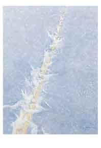 De hemelladder - Poster