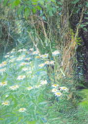Margrieten onder de peer