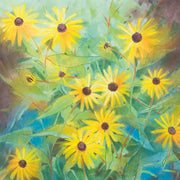 Helianthus annuus
