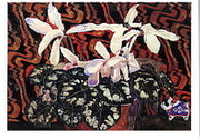 Cyclamen