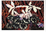 Cyclamen