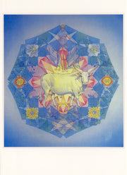 Stier - PW