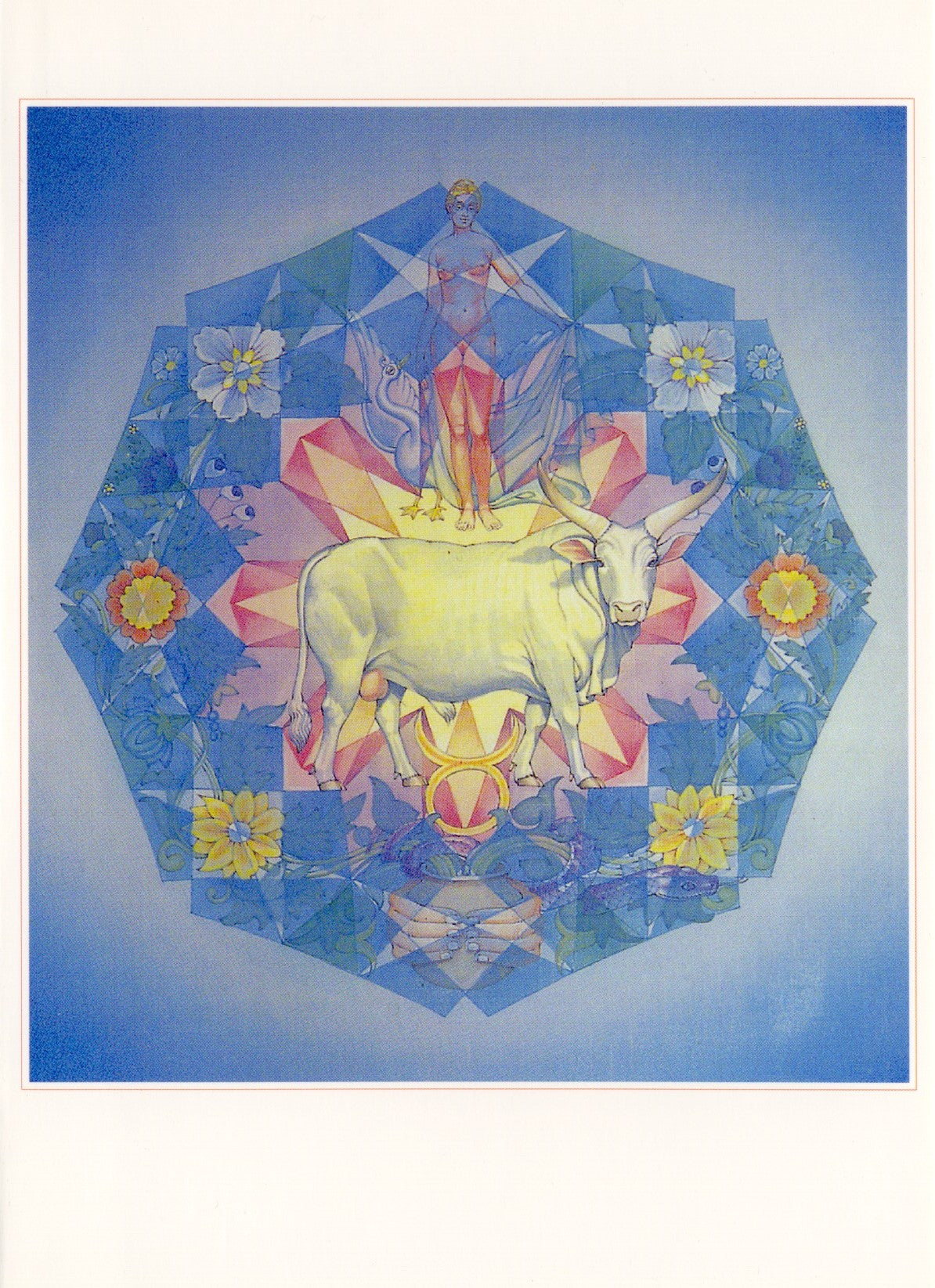 Stier - PW