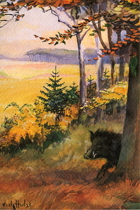 Luister, kijk, lees - herfst 6