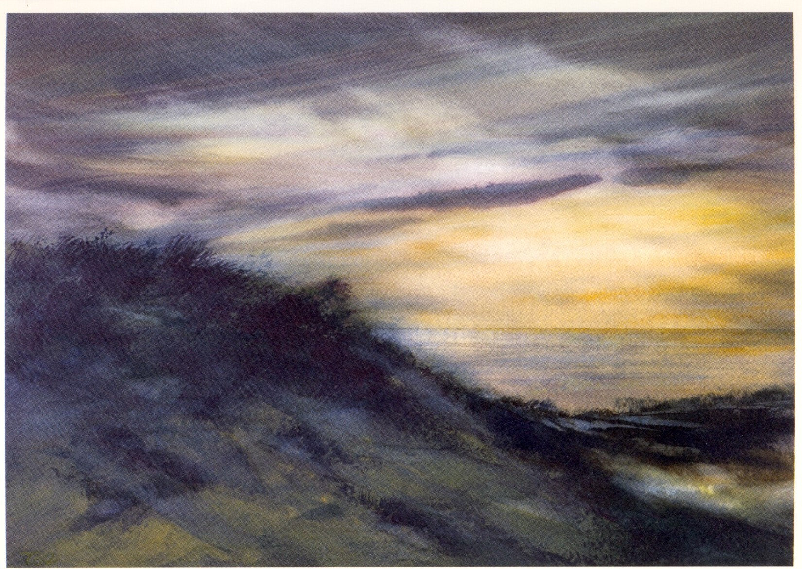 Tussen licht en schaduw