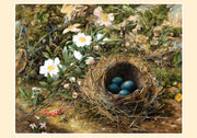 Bird's nest and dog roses