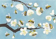 Bijen en bloesems