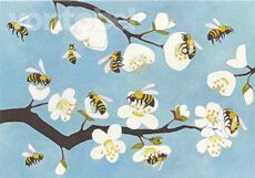 Bijen en bloesems