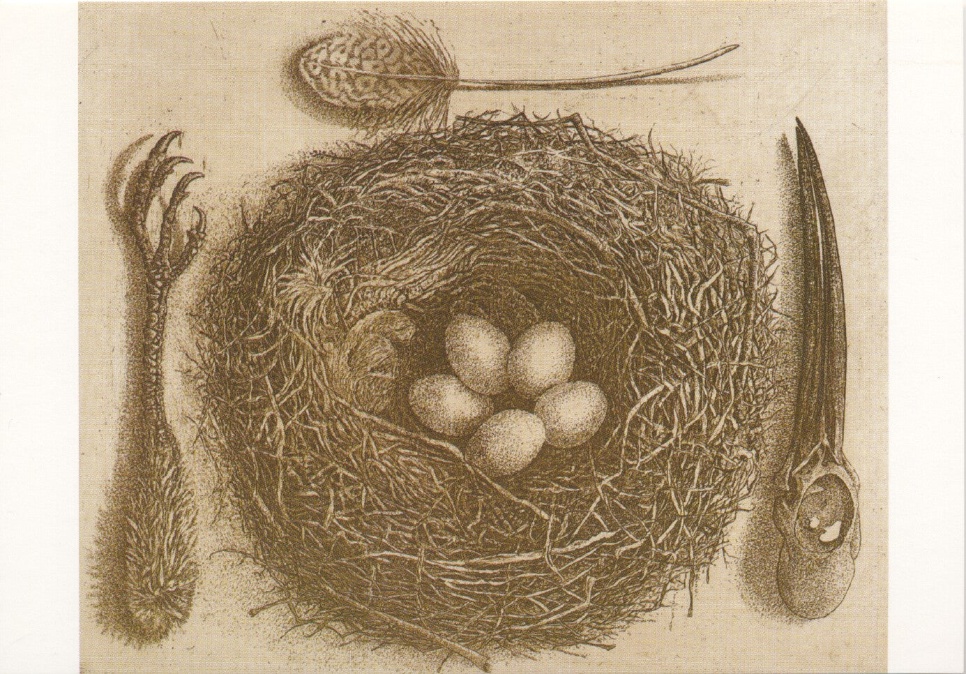 Hemels gerecht