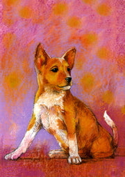Hondje