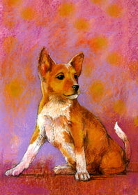 Hondje