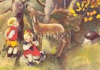 In het herfstbos