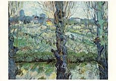 Gezicht op Arles