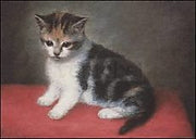 Het poesje van Ann Whites - George Stubbs