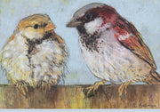 Twee mussen