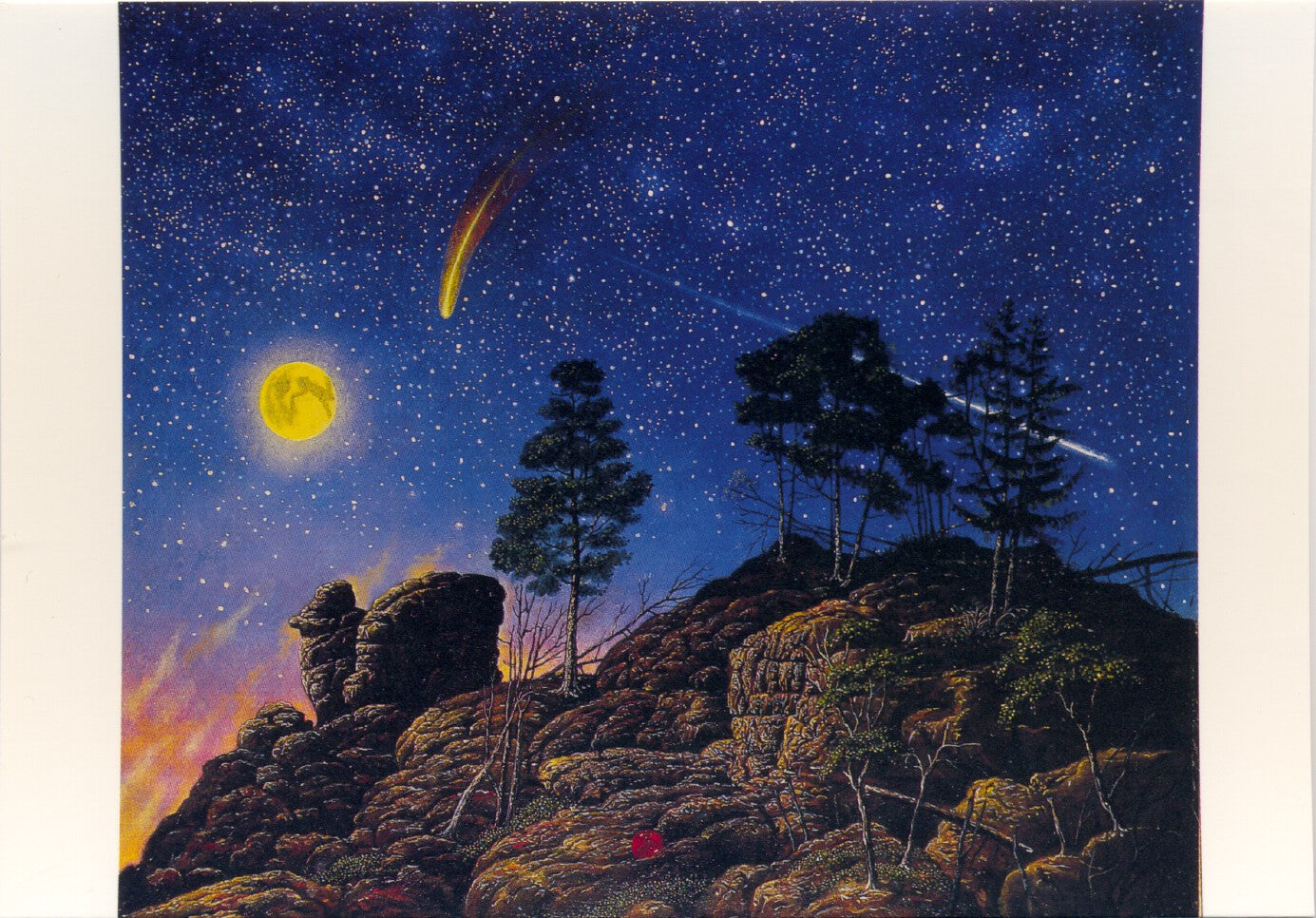 Het licht van de nacht