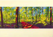 Kampina IV