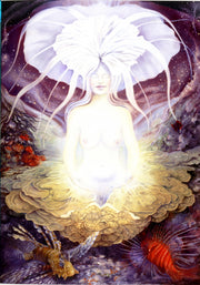 Licht Shakti