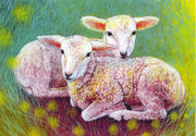 Klein babydierenboek 4-2 Lammetjes