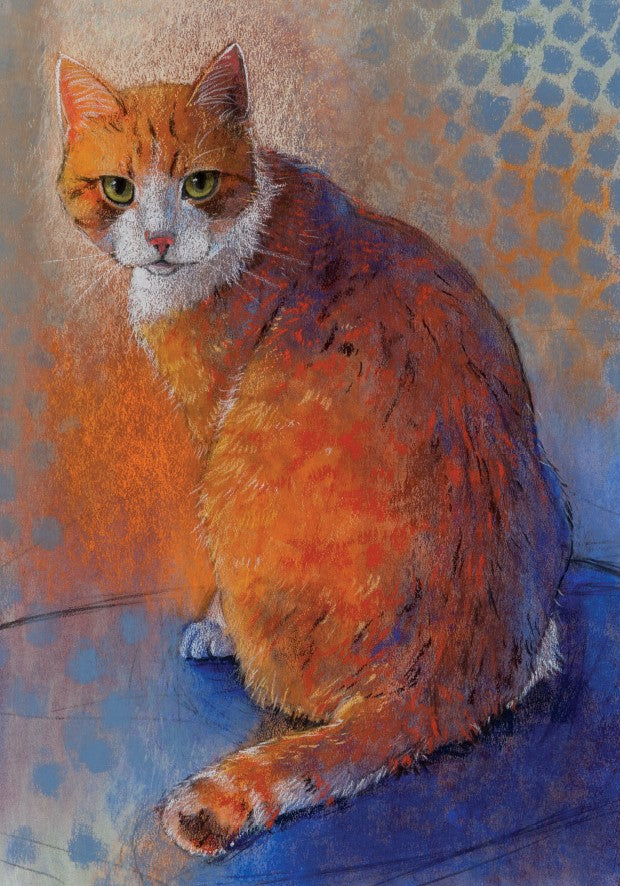 Kater