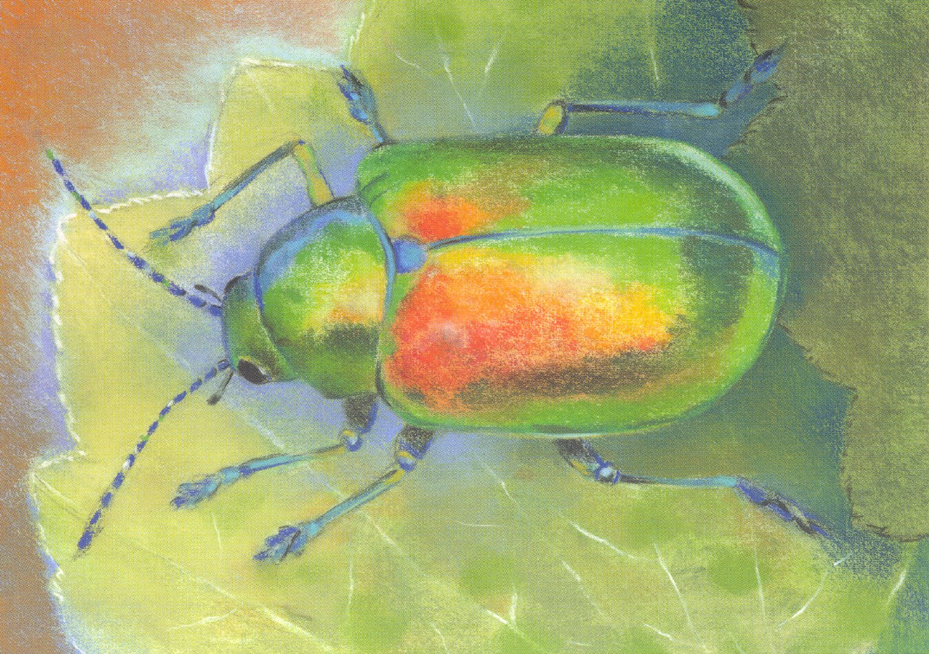 Klein insectenboek 1 - Groene kever