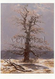 Eik in de sneeuw
