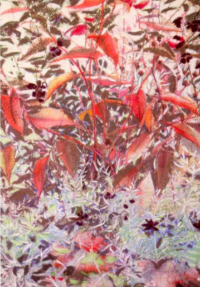 Persicaria & Artemisia