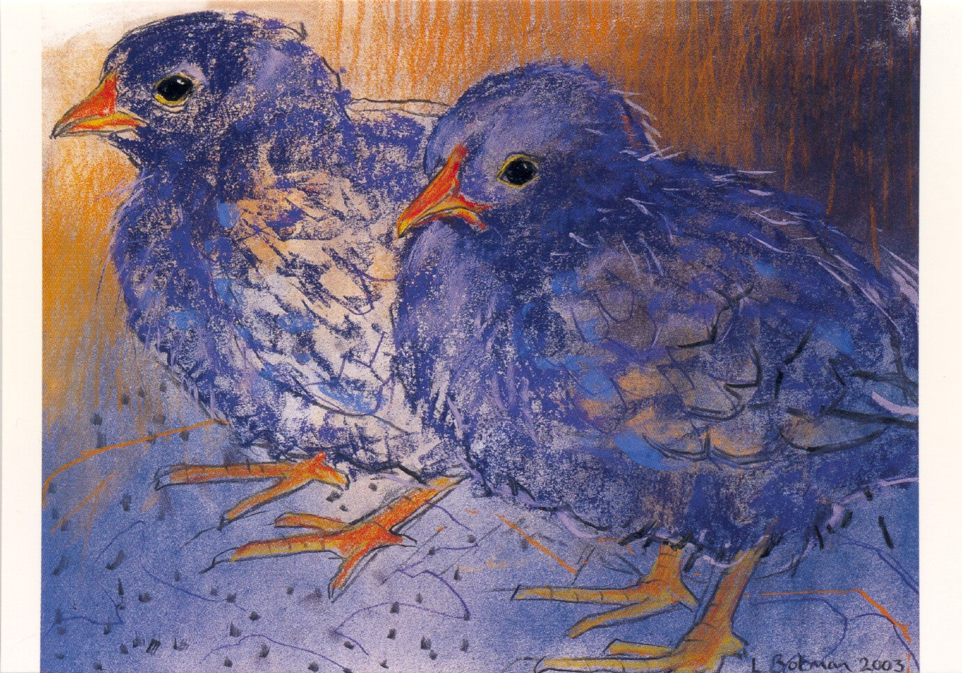 Twee kuikens