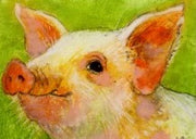 Ferkelchen II