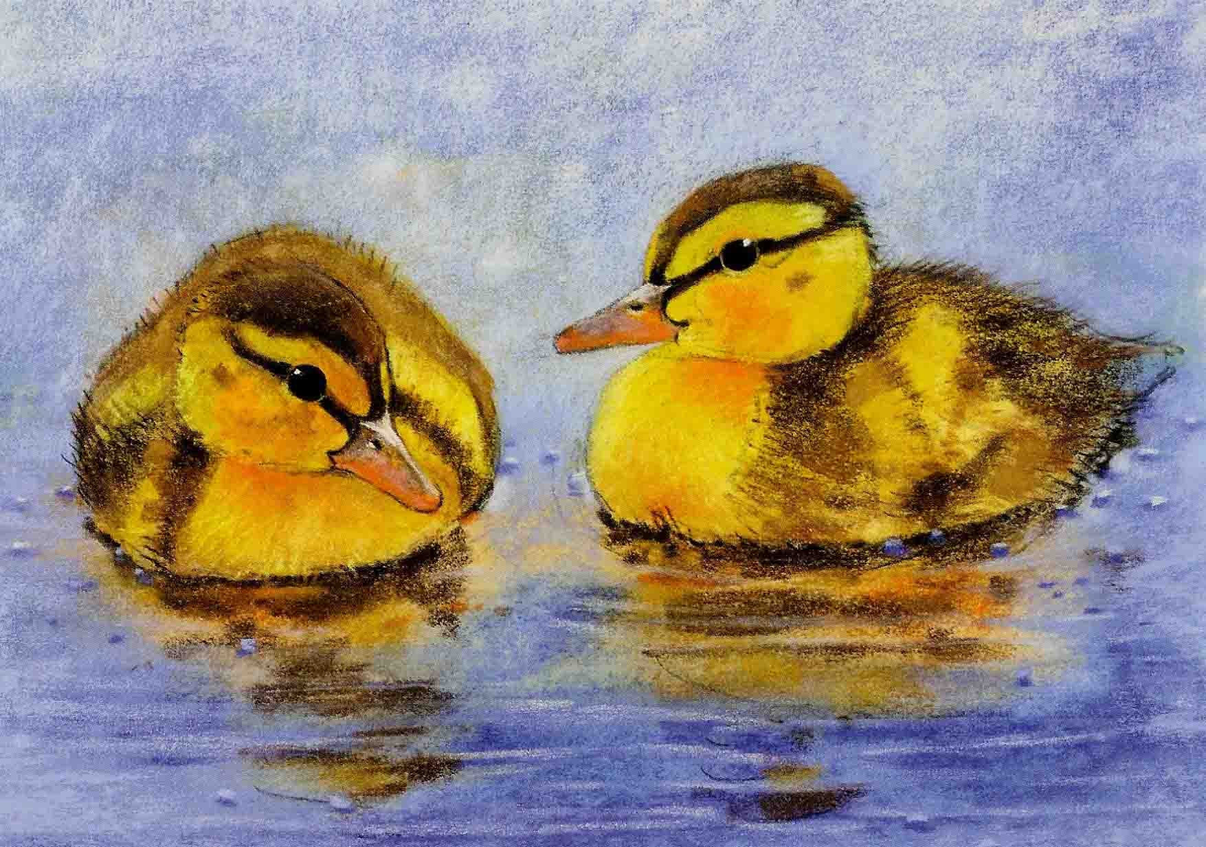 Eendjes