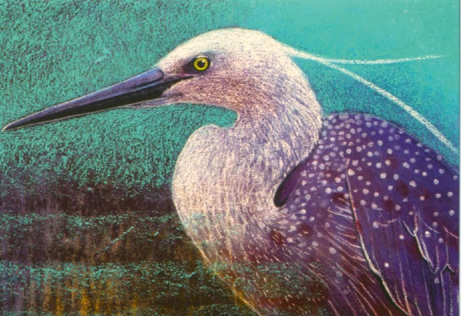 Reiger