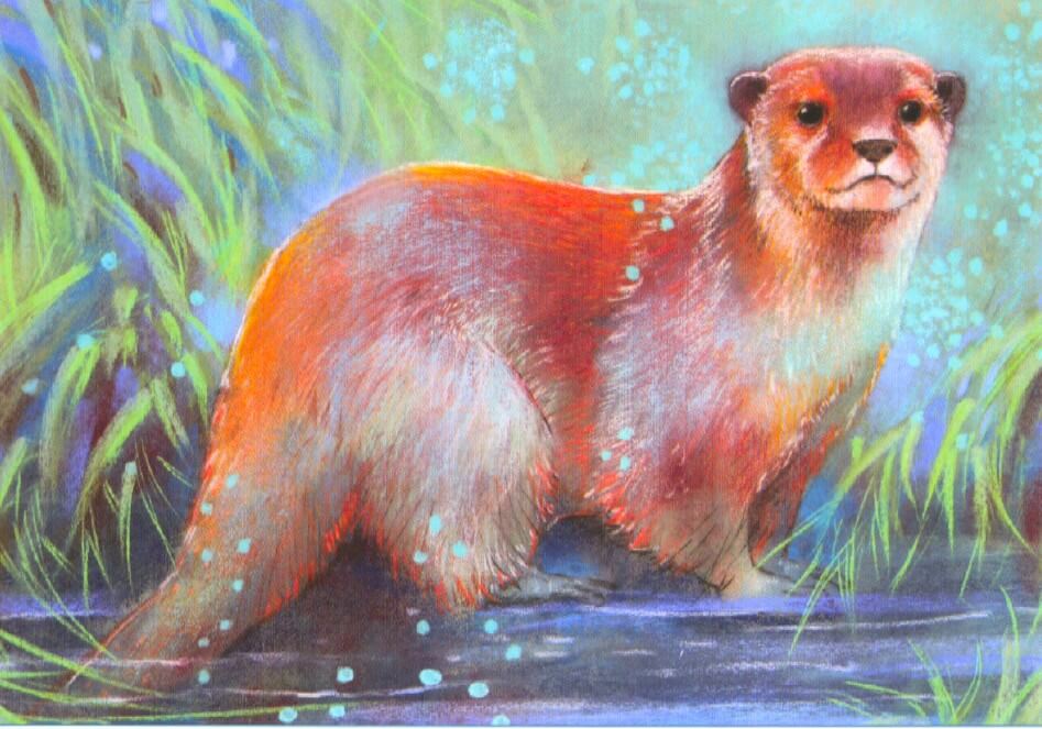 Otter