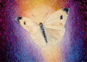 Weisser Schmetterling
