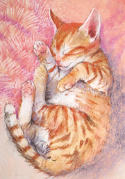 Kitten II