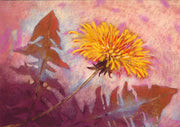 Paardenbloem I