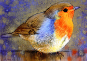 Roodborst III