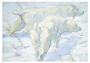 Siberian dogs in the snow