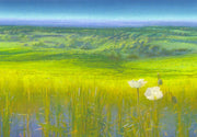 Innocent ground (detail)