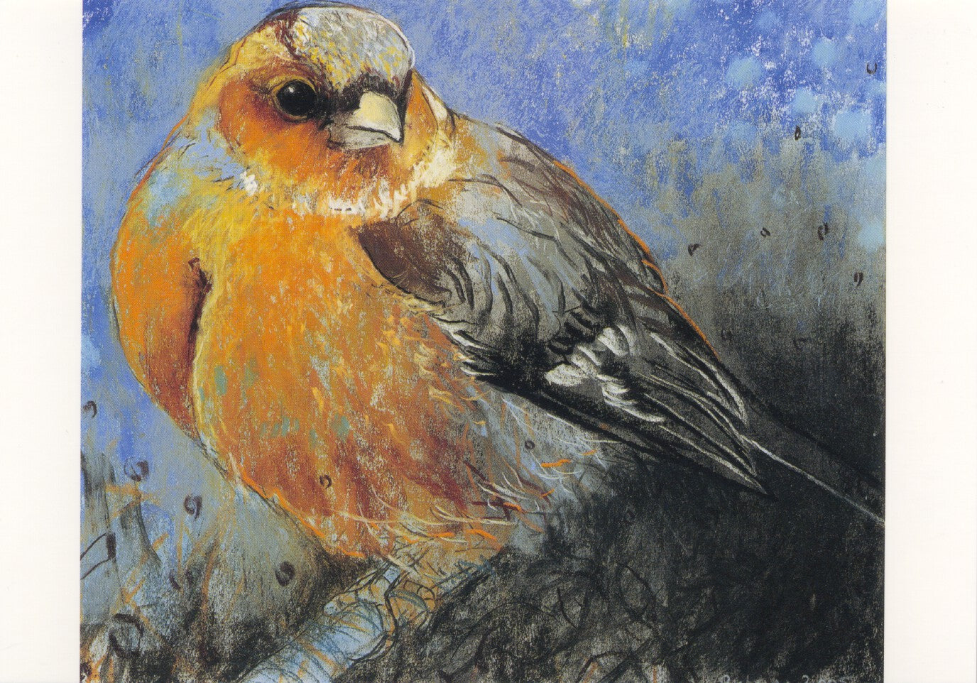 Vink