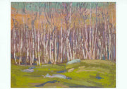 Silver Birches