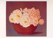 Basket of camelias
