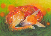 Klein slaapdierenboek 1-Hertje