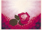 Rosenbeet