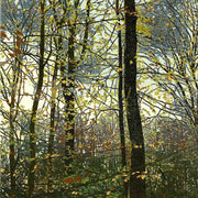 Symfonie