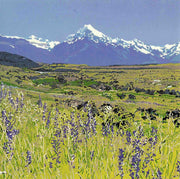 Aoraki / Mt. Cook (New Zealand)